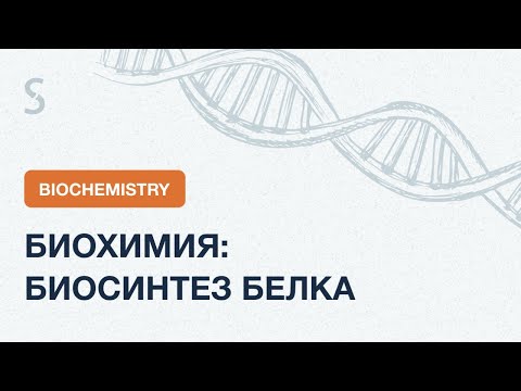 Видео: USMLE Step 1 - Биосинтез белка EXPLAINED