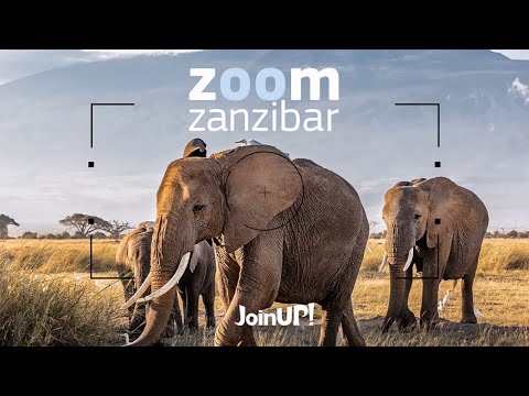 Видео: ZOOM Zanzibar разом з Join UP!