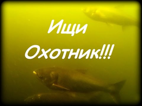 Видео: Подводная Охота "Ищи Охотник"Spearfishing on Volga River