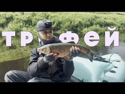 Видео: Трофей взят! Первый сплав и сразу КОНЬ! А ещё новая лодка
