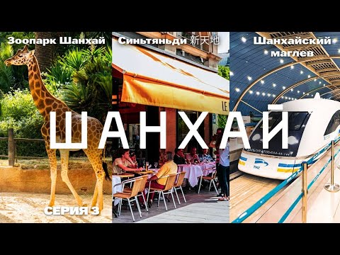 Видео: ТУРЫ В ШАНХАЙ! Зоопарк в Шанхае! Маглев Шанхай! +7(964)44-44-144 Туры Шанхай из Владивостока ДАЛЬТУР