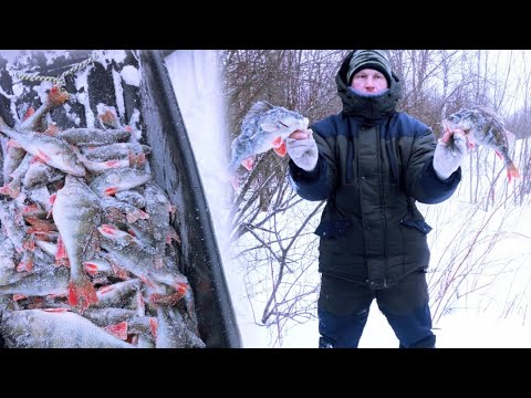 Видео: РЫБАЛКА НА РЕКЕ СВИРЬ В ФЕВРАЛЕ.ИСКАЛИ,И ПОПАЛИ НА ЖОР ОКУНЯ.ЛОВЛЯ ОКУНЯ НА БАЛАНСИР.