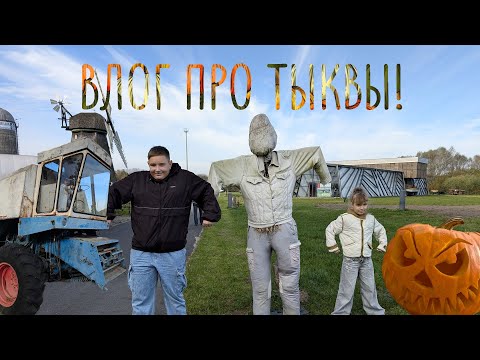 Видео: Влог про ТЫКВЫ!🎃🚜