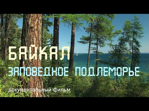 Видео: Байкал. Чивыркуйский залив. Ушканьи острова. Байкальская нерпа.Nature of Russia.