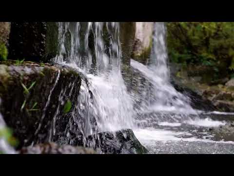 Видео: Звуки Природи для Твого Сну та Відпочинку | Звуки  Води