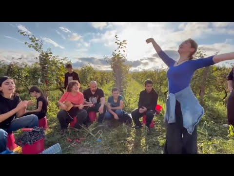 Видео: Девушка танцует в виноградниках Кахетии - сегодня сбор урожая.