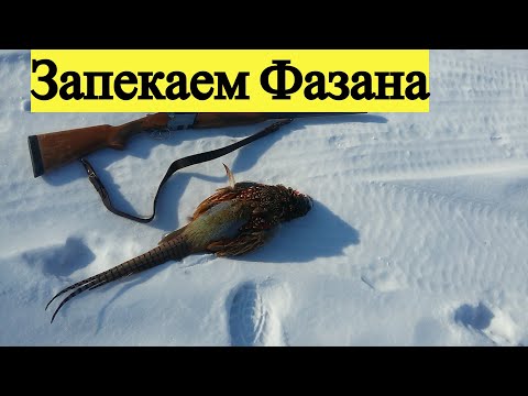 Видео: Фазан запеченный в духовке под сметано-чесночным соусом.