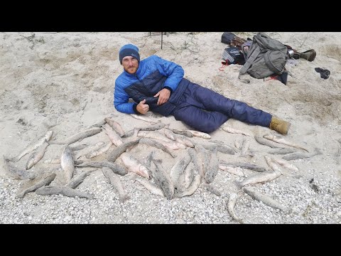 Видео: Рыбалка как она есть. Ловля пеленгаса на ближнем перекате.