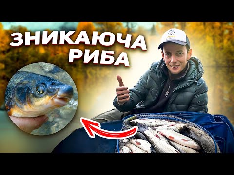 Видео: Осіння рибалка на річці - Ретроспектива