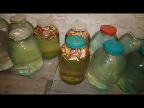 Видео: НАЙСМАЧНІШИЙ БЕРЕЗОВИЙ СІК: корисні властивості та рецепти для зберігання