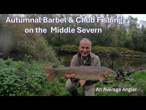 Видео: Осенняя рыбалка на усача и голавля на Среднем Северне