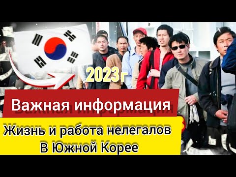 Видео: Жизнь нелегалов в Южной Корее | Работа в Корее 2023 год