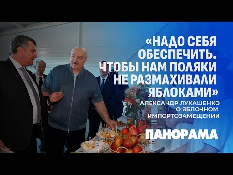 Видео: Лукашенко: нам надо, чтобы перестали кланяться импортному яблоку. Панорама