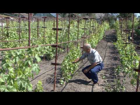 Видео: В гостях у майстра.  Богдан Стефанюк.