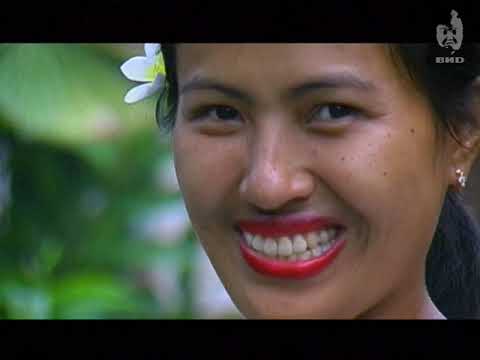 Видео: Непутевые заметки (2002) 26.05.2002