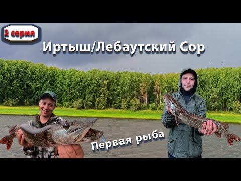 Видео: Иртыш/Лебаутский Сор/Первая рыба/2ч./12.08.2022