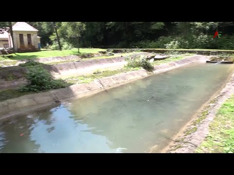 Видео: Форелевое хозяйство