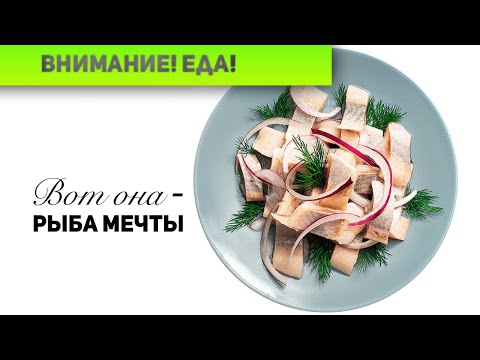 Видео: Внимание! Еда! Осторожно, селёдка!