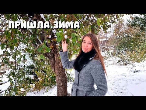 Видео: ЗАВАЛИЛО СНЕГОМ/ НЕЙРОСЕТЬ УДИВЛЯЕТ/ Зачем теперь учить английский? Покупки с OZON и WB