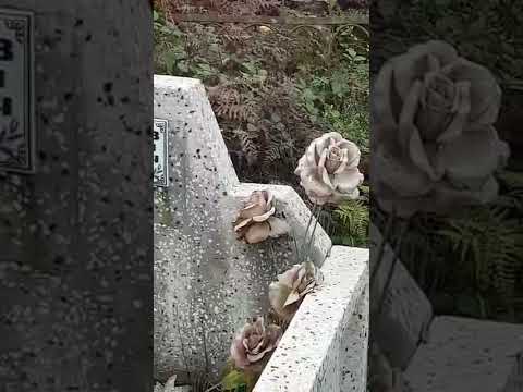 Видео: Горы Хичаури