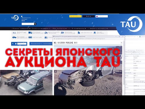 Видео: Секреты японского аукциона TAU