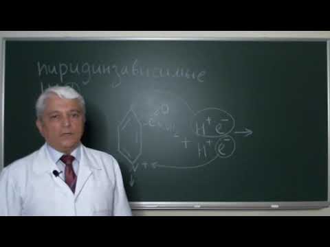 Видео: 13:50 Биологическое окисление