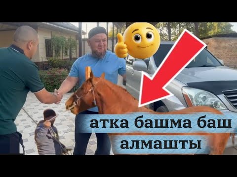 Видео: Лексуска башма баш алмашты