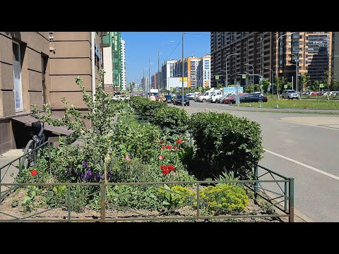 Видео: Мурино. Вот и лето пришло.