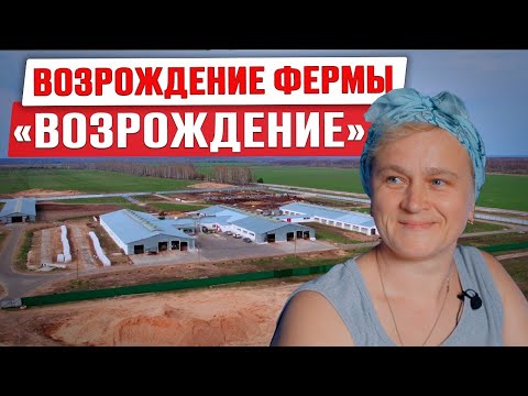 Видео: Возрождение фермы "Возрождение" | Хитрости содержания коров | Выпойка телят | Доращивание бычков