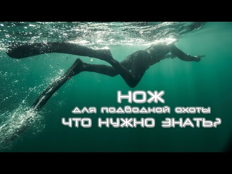 Видео: Нож для подводной охоты: что нужно знать?