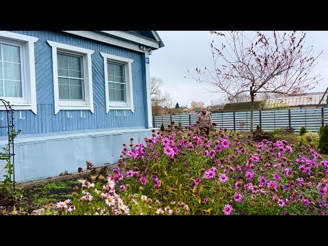 Видео: 30 СОТОК В ДЕРЕВНЕ/ВСЕ В ДЕЛАХ И ЗАБОТАХ/КАЖДОЙ КУРИЦЕ ПО КОМНАТЕ