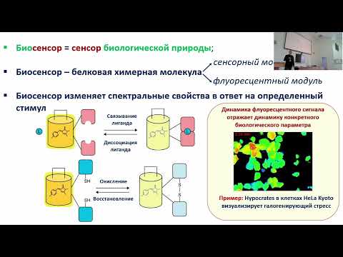 Видео: Билан Д.С. Возможности применения генетически кодируемых инструментов в биологии и медицине