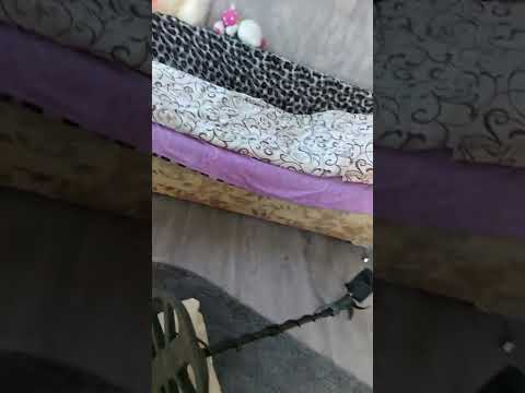 Видео: 9 вересня 2022 р.