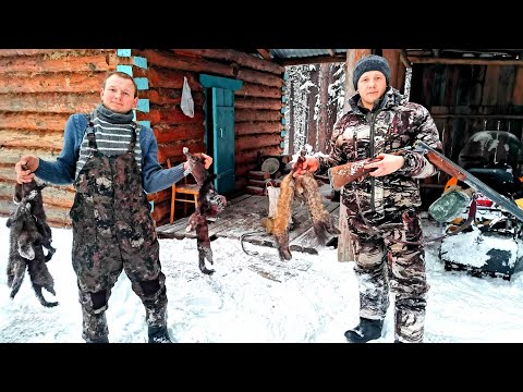 Видео: НОРКИ АТАКОВАЛИ КАПКАНЫ НА ПУТИКЕ. ПУШНОЙ ПРОМЫСЕЛ 2024г.