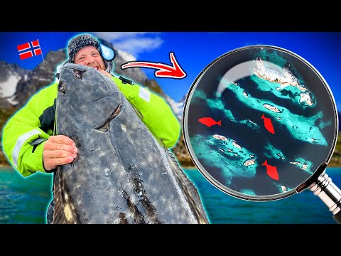 Видео: Ловим ОГРОМНЫХ ПАЛТУСОВ На Спиннинг| Team Galant