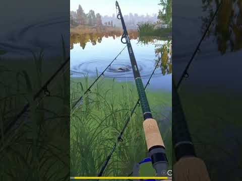 Видео: Окунь ГИГАНТ Русская рыбалка 4🦊GIANT perch Russian fishing 4 Подпишись! жду на стриме!