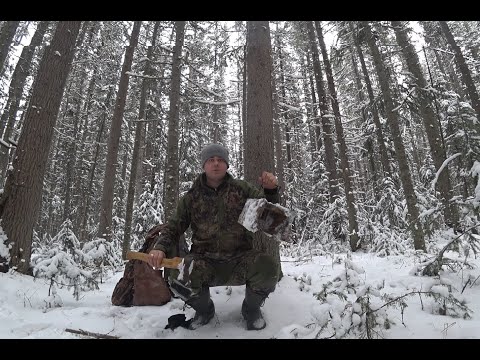 Видео: ПРОВЕРКА ПУТИКОВ И ОПЯТЬ УДАЧНАЯ