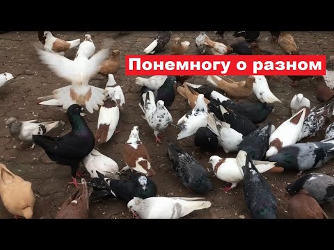 Видео: Насколько вредны просроченные витамины?