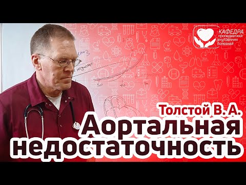 Видео: Аортальная недостаточность.