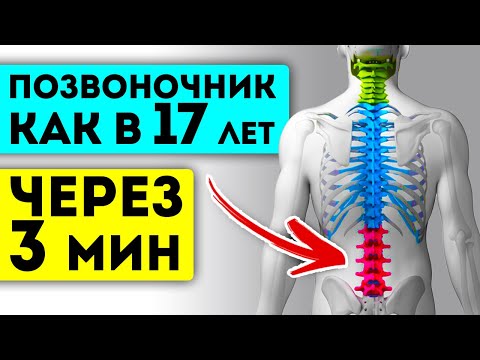 Видео: Ура! Японцы раскрыли сильнейший способ восстановления позвоночника! Упражнения Фукуцудзи для спины