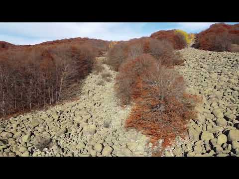 Видео: Морени с.Кладница