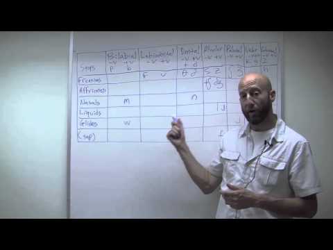 Видео: Фонетика (ч. 2)