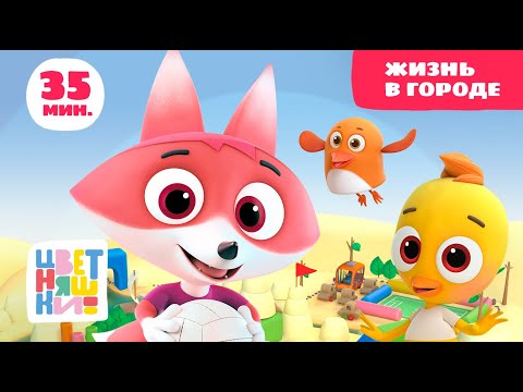 Видео: Цветняшки — Жизнь в городе — Сборник — Развивающий мультфильм