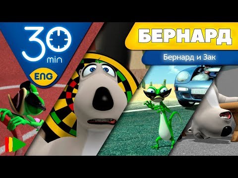 Видео: БЕРНАРД: Приключения Бернарда и Зака | 30 минут (Подборка)
