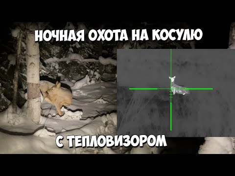 Видео: Ночная охота с тепловизором на косулю!