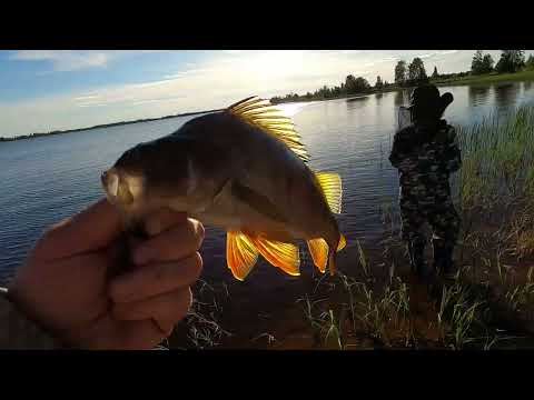 Видео: РЫБАЛКА КЛЁВЫМ ВЕЧЕРОМ НА ДАЛЬНЕМ ОЗЕРЕ, ПЕРВЫЙ РАЗ В ЭТОМ ГОДУ! ГЛАВНЫЙ РЫБАК ОТРЫВАЛСЯ НА СПИНИНГ!