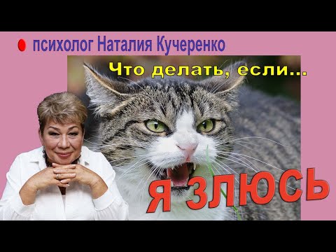 Видео: Что делать, если я злюсь? Советы психолога Наталии Кучеренко
