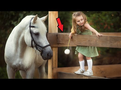 Видео: ЭТОГО КОНЯ ХОТЕЛИ УСЫПИТЬ, А ОН ВЗЯЛ И СПАС ДЕВОЧКУ....