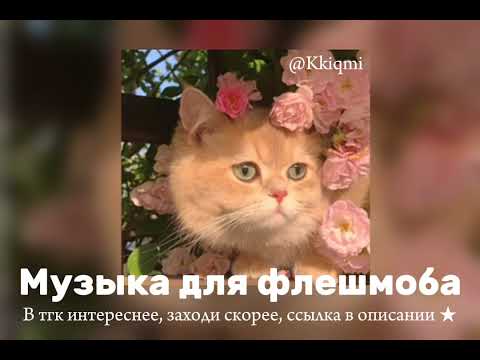 Видео: Музыка для флешмоба ❀ || ссылка на тгк в описании ⬇️ || от @KKIQMI