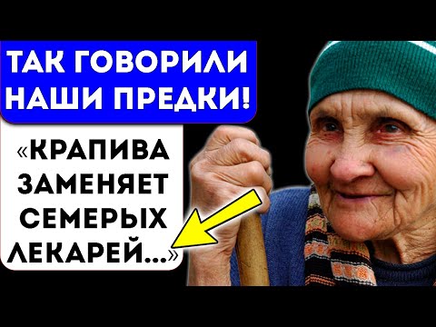Видео: Вот что творит КРАПИВА: менструация без боли, кожа как яичко, волосы до пят, почки, мозг и…